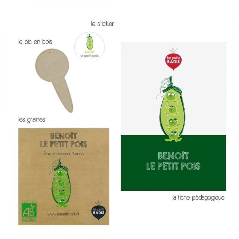 Mini kit de graines bio pour oiseaux du jardin - Les Petits Radis