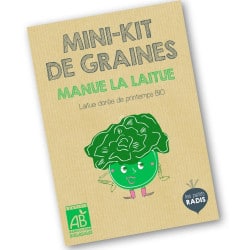 Graines de laitue bio pour enfants