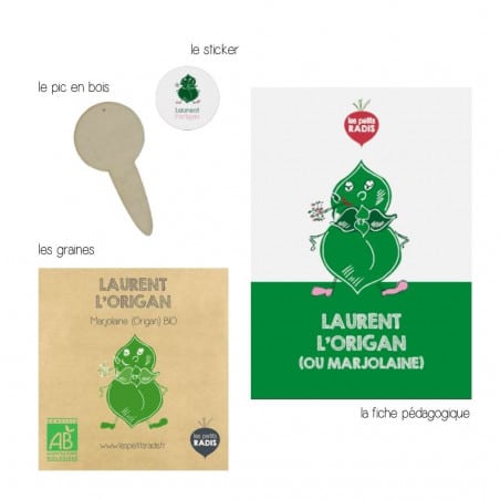 Graines d’origan bio (marjolaine bio)- Laurent l’origan