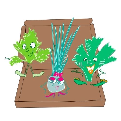 box jardinage enfant juillet | Les Petits Radis