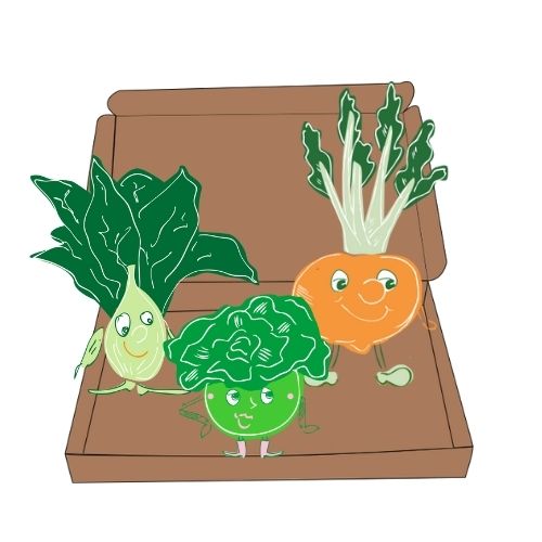 box jardinage enfant août | Les petits radis