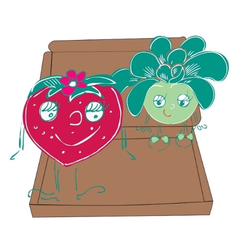 box jardinage enfant septembre | les petits radis