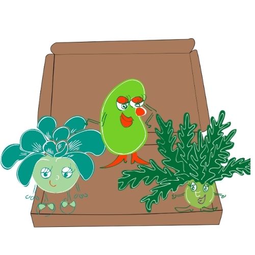 box jardinage enfant octobre | Les petits radis