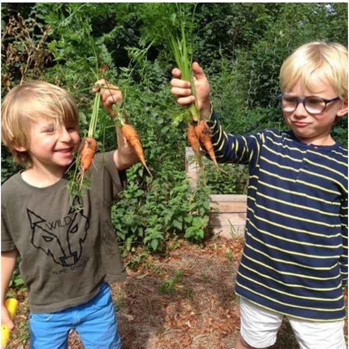 enfants récoltent des carottes