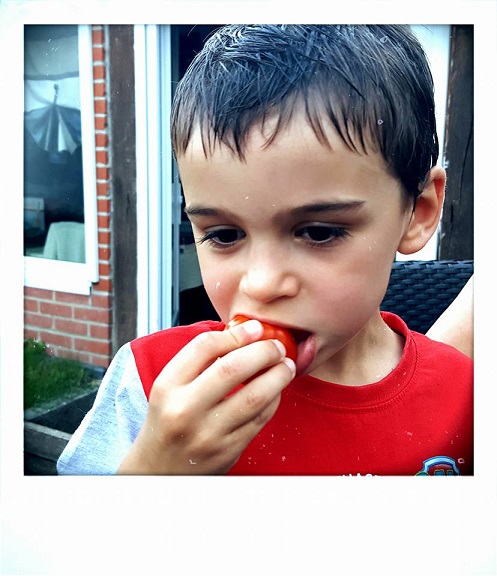 enfant qui croque une tomate cerise | Les Petits Radis