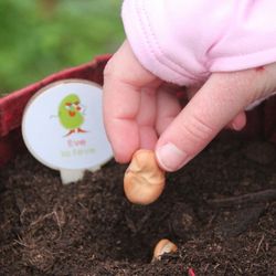 atelier-enfants-semis animer un atelier sur les semis pour les enfants