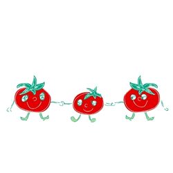 planter tomate cerise | Les petits radis