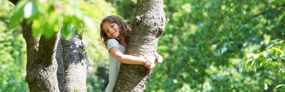 Balade en forêt : Reconnaître un arbre avec ses feuilles — Chilowé