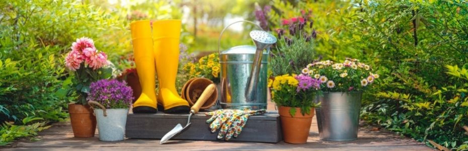 5 activités jardinage à faire avec vos enfants pendant les grandes vacances