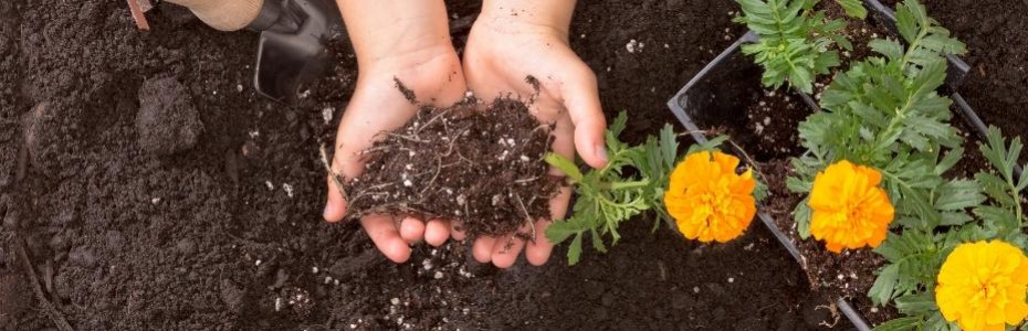 Prendre soin du sol pour préserver le vivant
