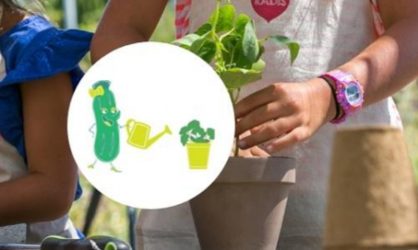 Démarrer les Semis avec les enfants