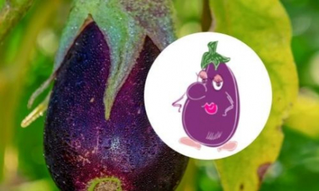 LUDIVINE L'AUBERGINE et son coloriage 