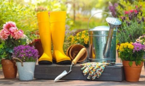 5 activités jardinage à faire avec vos enfants pendant les grandes vacances