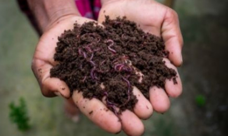 Fabriquer un Lombricomposteur