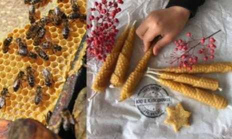 Fabriquer des Bougies en cire d'abeille
