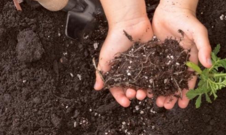 Prendre soin du sol pour préserver le vivant