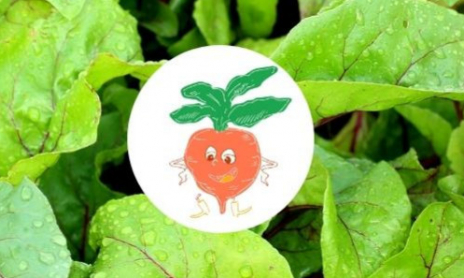 Gustave la Betterave Golden